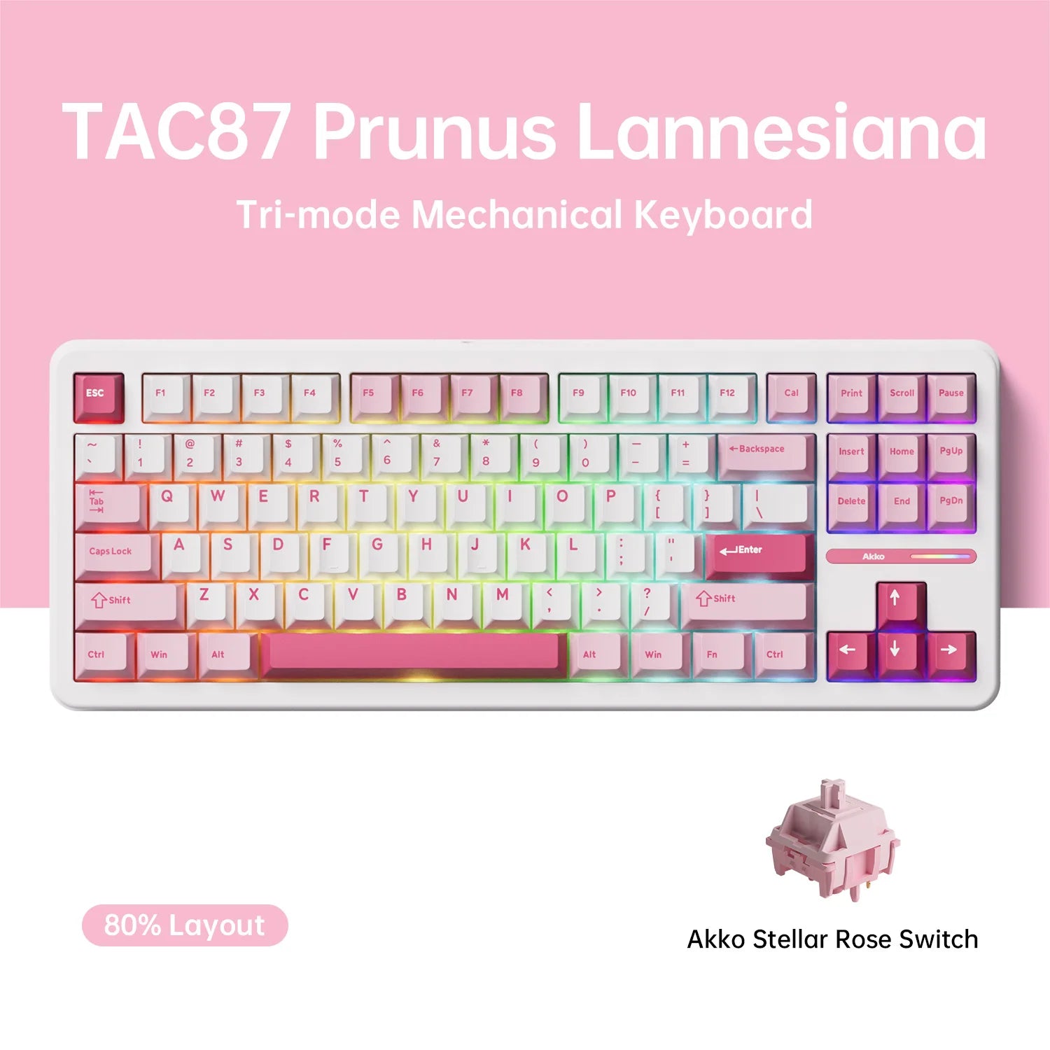 TAC87 Mechanical Keyboard 80% TKL Hot-Swap RGB 10000Mah USB Wired/2.4G&Bt Wireless Customized Gaming Keyboard Gasket Mount