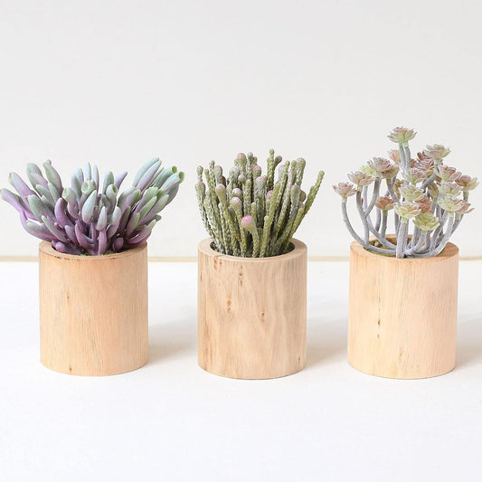 Succulents Plants Artificial, Faux Succulents in Pots, Realistic Fake Succulents for Home Office Living Room Bedroom Bathroom Decor, Set of 3