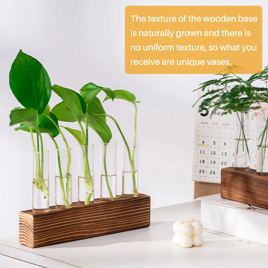 5 PCS Glass Test Tube Vases Plant Propagation Stations, Desktop Glass Plant Terrarium with Wooden Stand for Office Home Garden Wedding