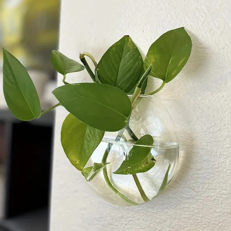 Wall Hanging Glass Plant Terrarium Container Propagation Station Wall-Mounted Flower Vases Air Plant Terrarium Home Office Decor